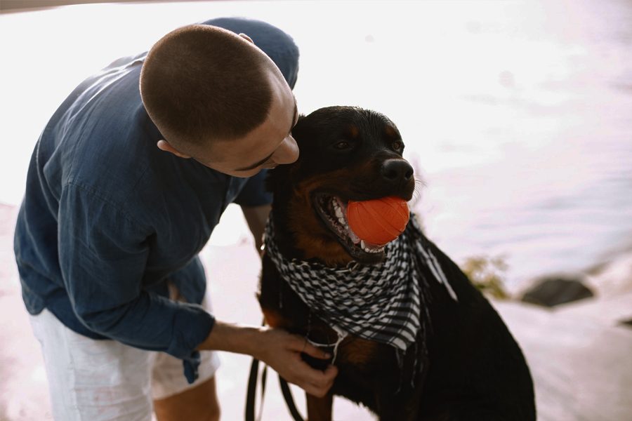 Pet-therapy: l’impiego degli animali da compagnia per curare specifiche malattie.